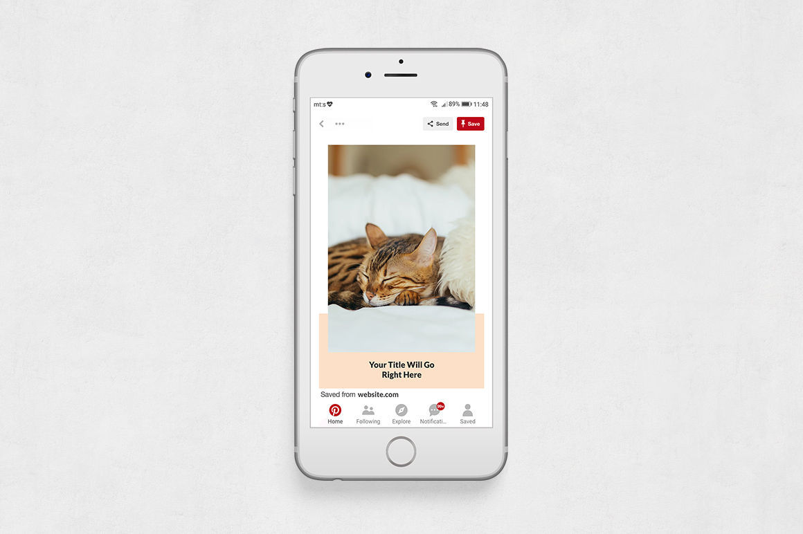 pinterest Posts Bundle