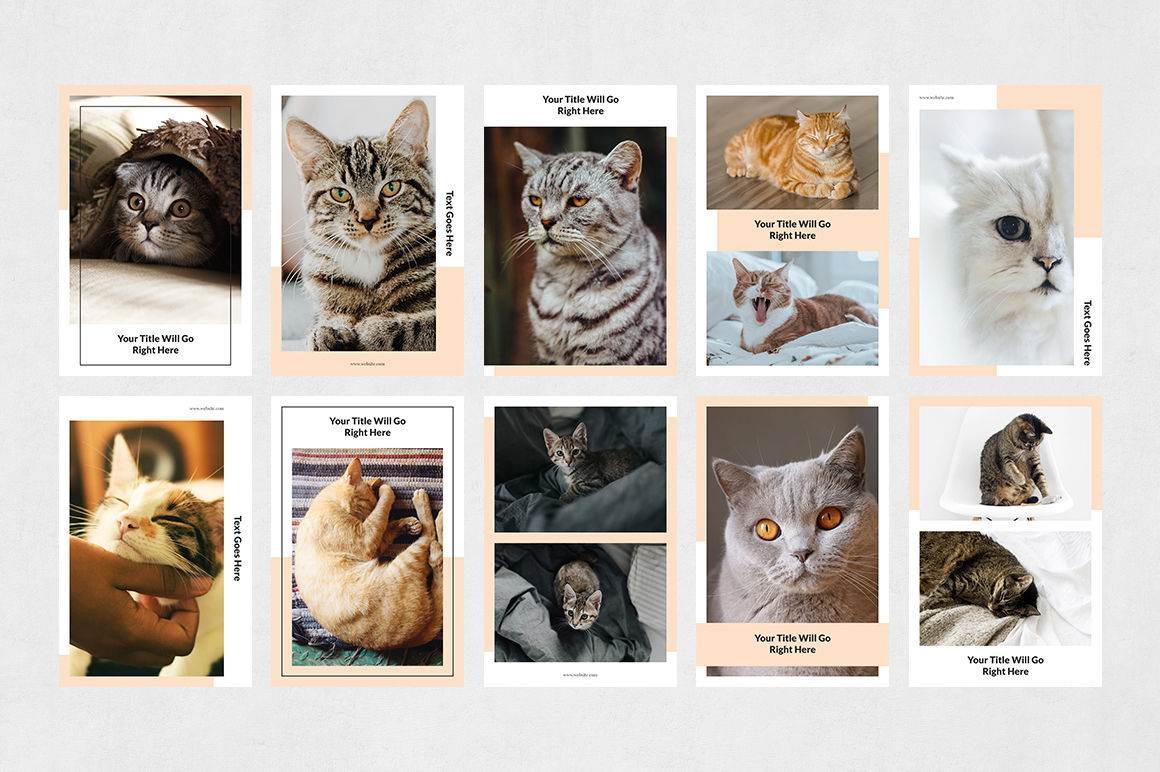 pinterest Posts Bundle