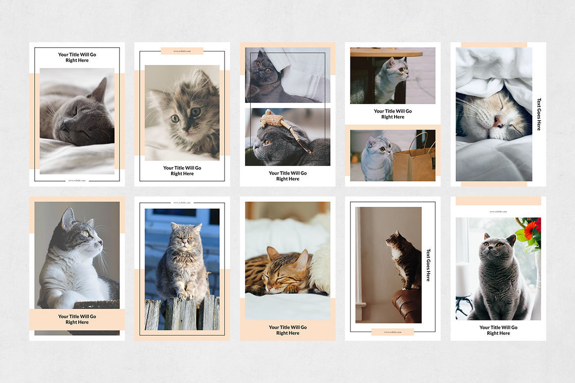 pinterest Posts Bundle