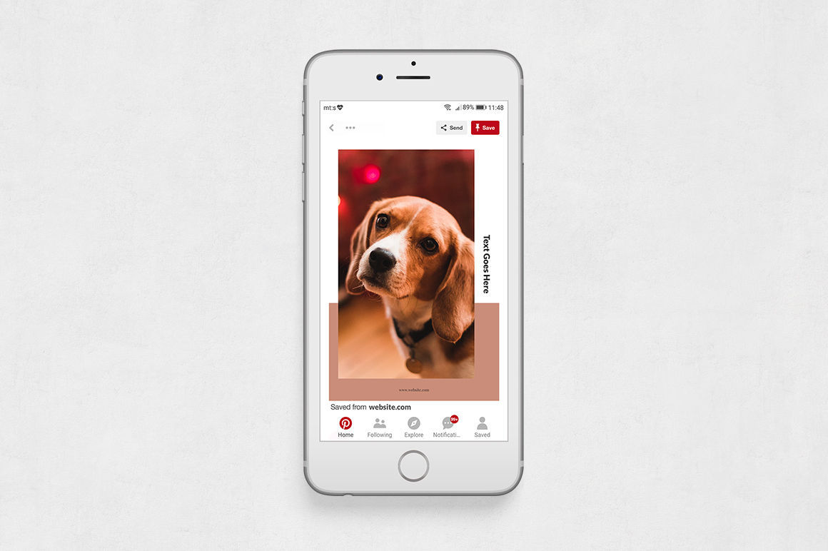 pinterest Posts Bundle