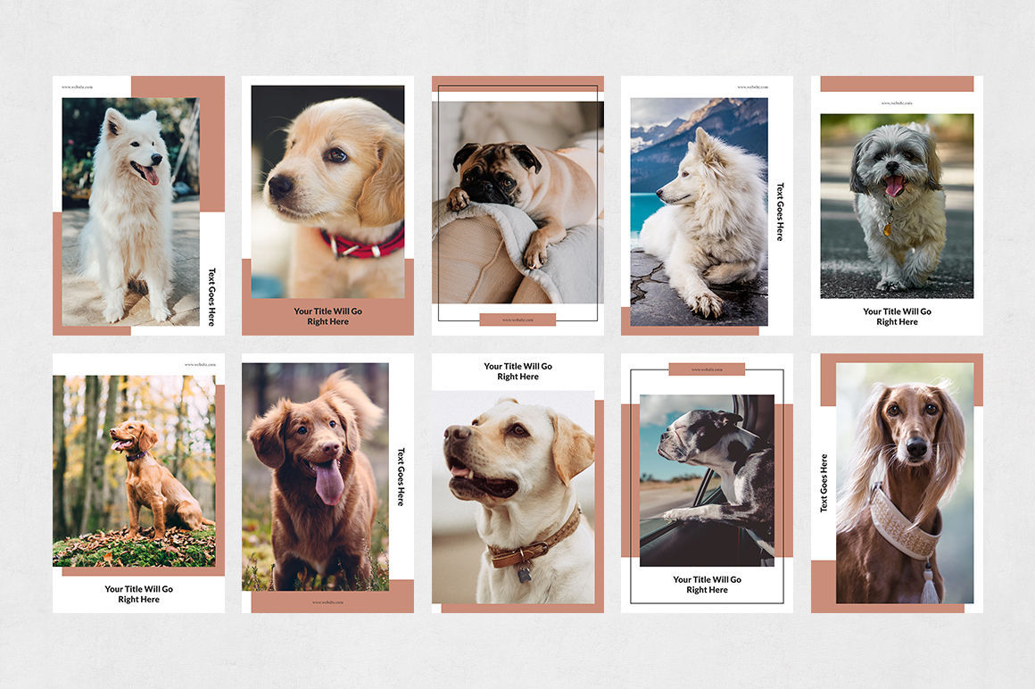 pinterest Posts Bundle