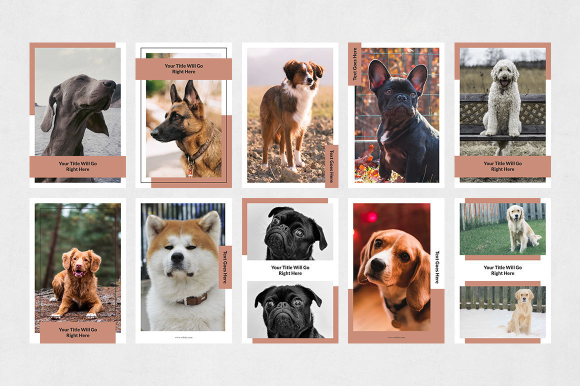 pinterest Posts Bundle