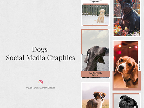 dogs Instagram Stories