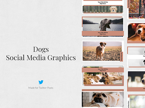 dogs Twitter Posts