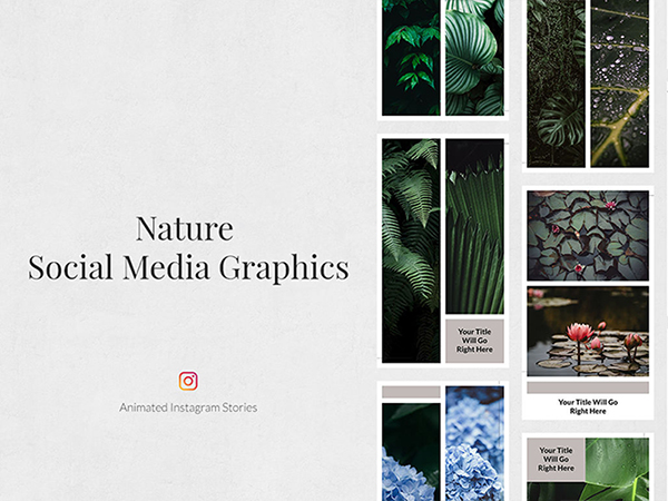 nature Animated Instagram Stories