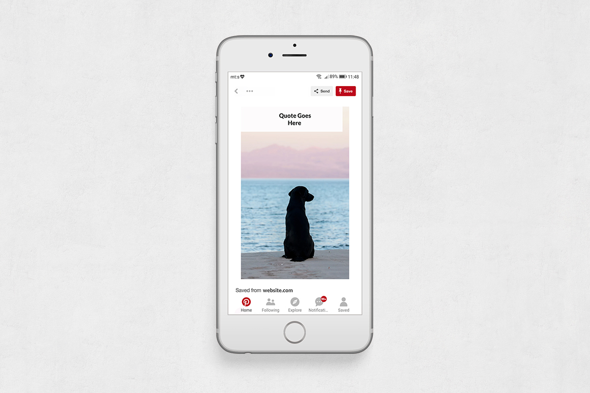 pinterest Posts Bundle
